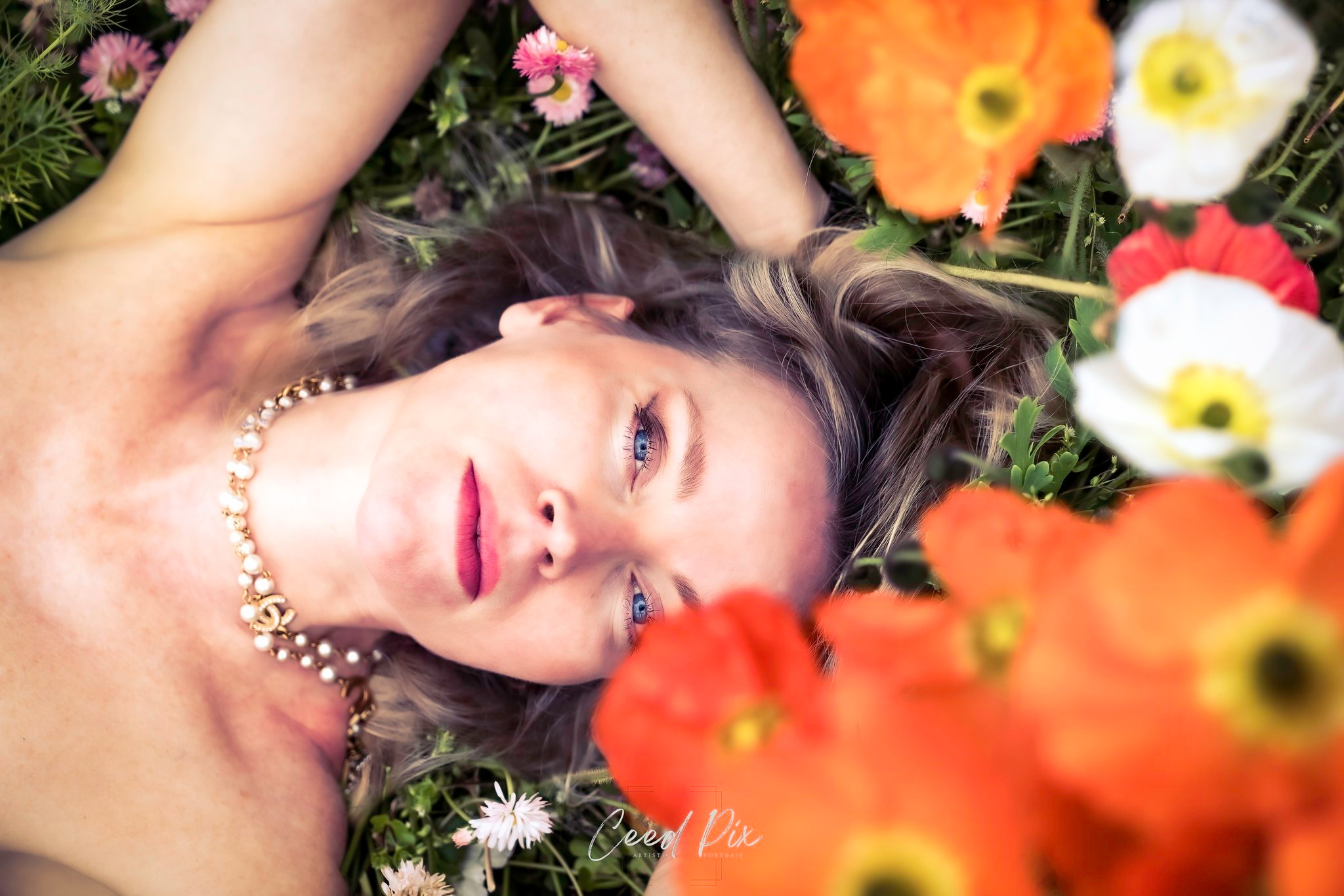 Anya K — La femme aux coquelicots — CeedPix
